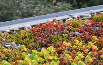 the cost of Croftnacriech green roof installation