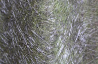 Croftnacriech fibreglass roof work